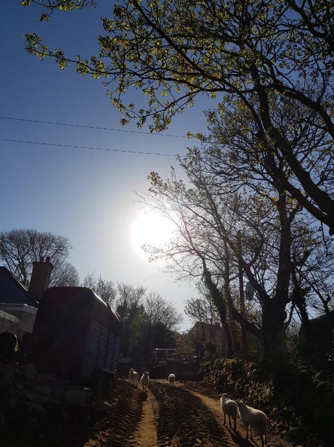 Shadow River Farm Annascaul ภายนอก รูปภาพ