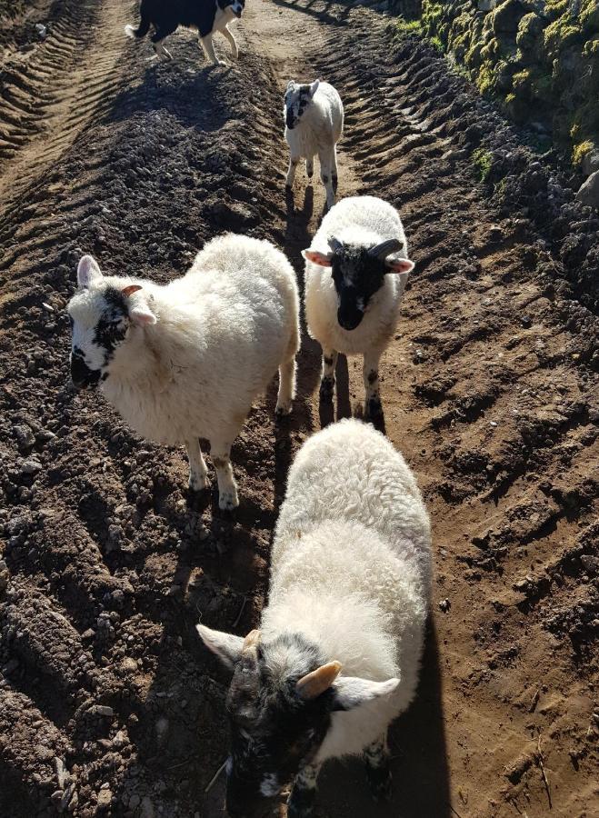 Shadow River Farm Annascaul ภายนอก รูปภาพ